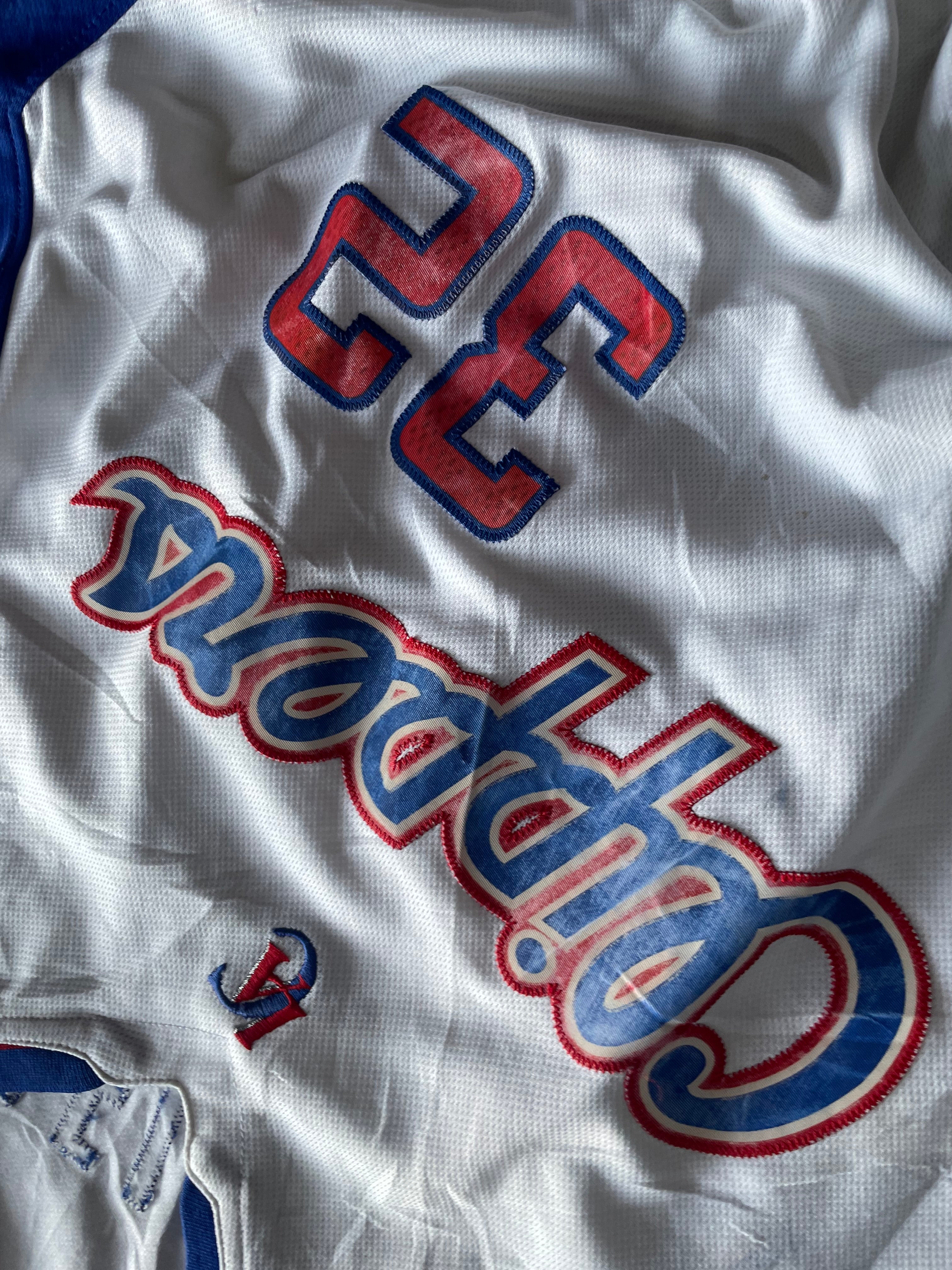Clippers NBA jersey