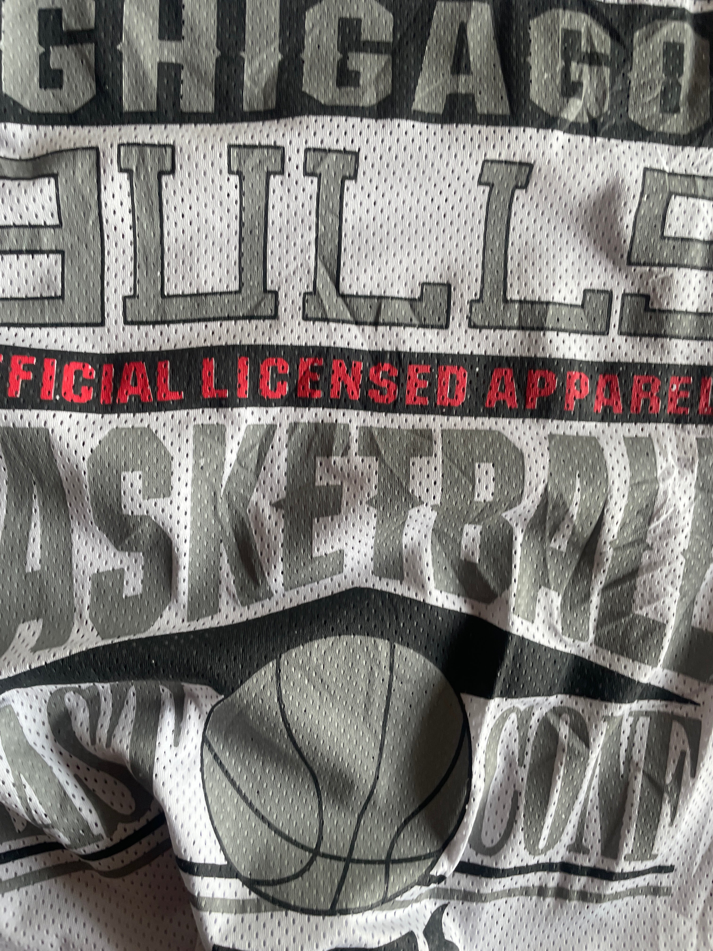 Chicago bulls