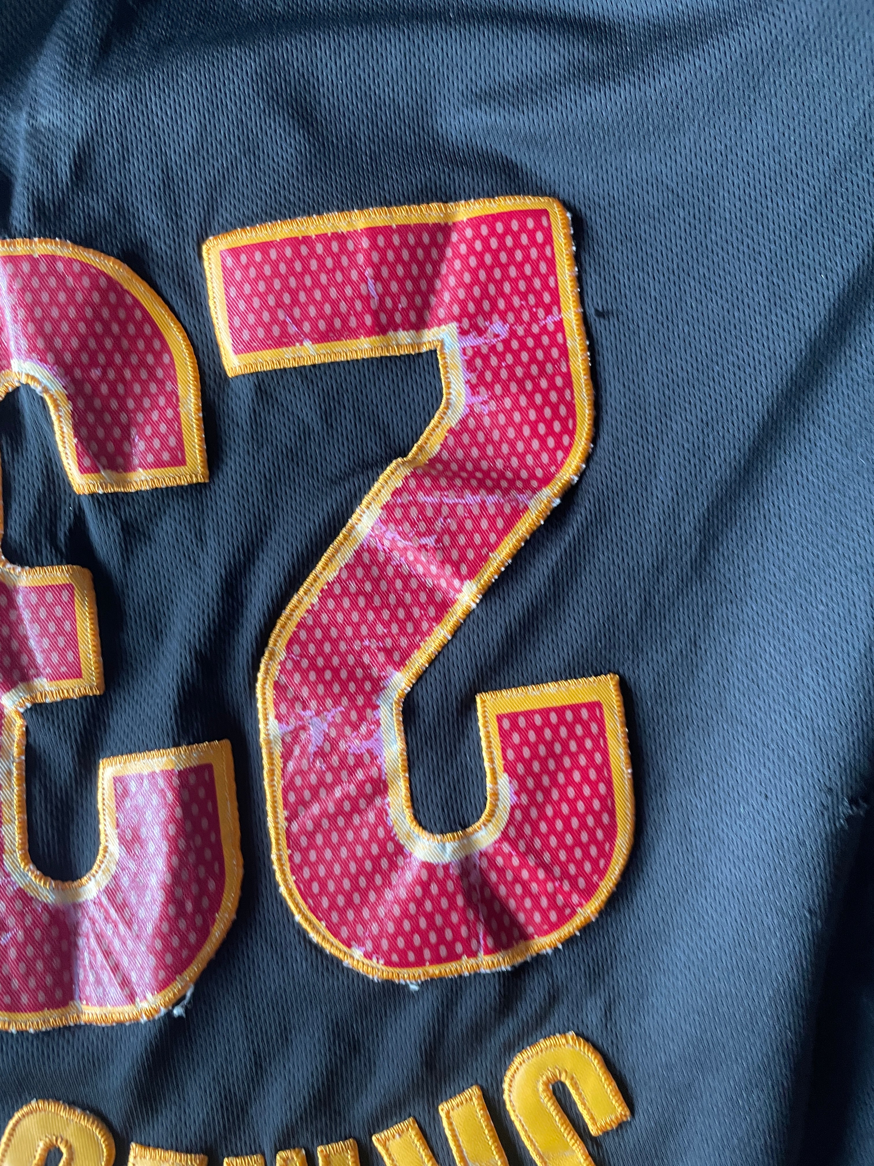 Cavs Championship James -L