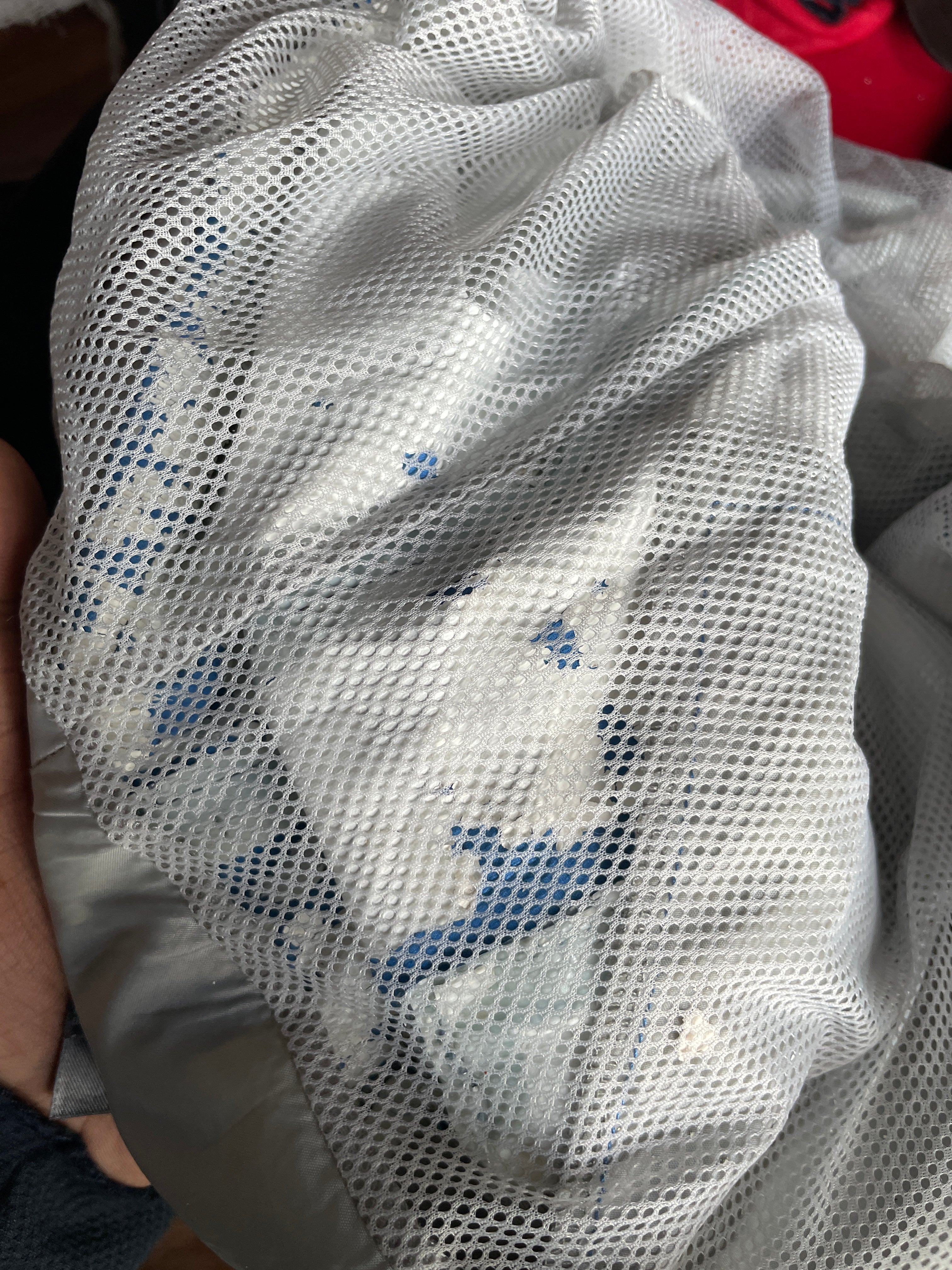 The north face