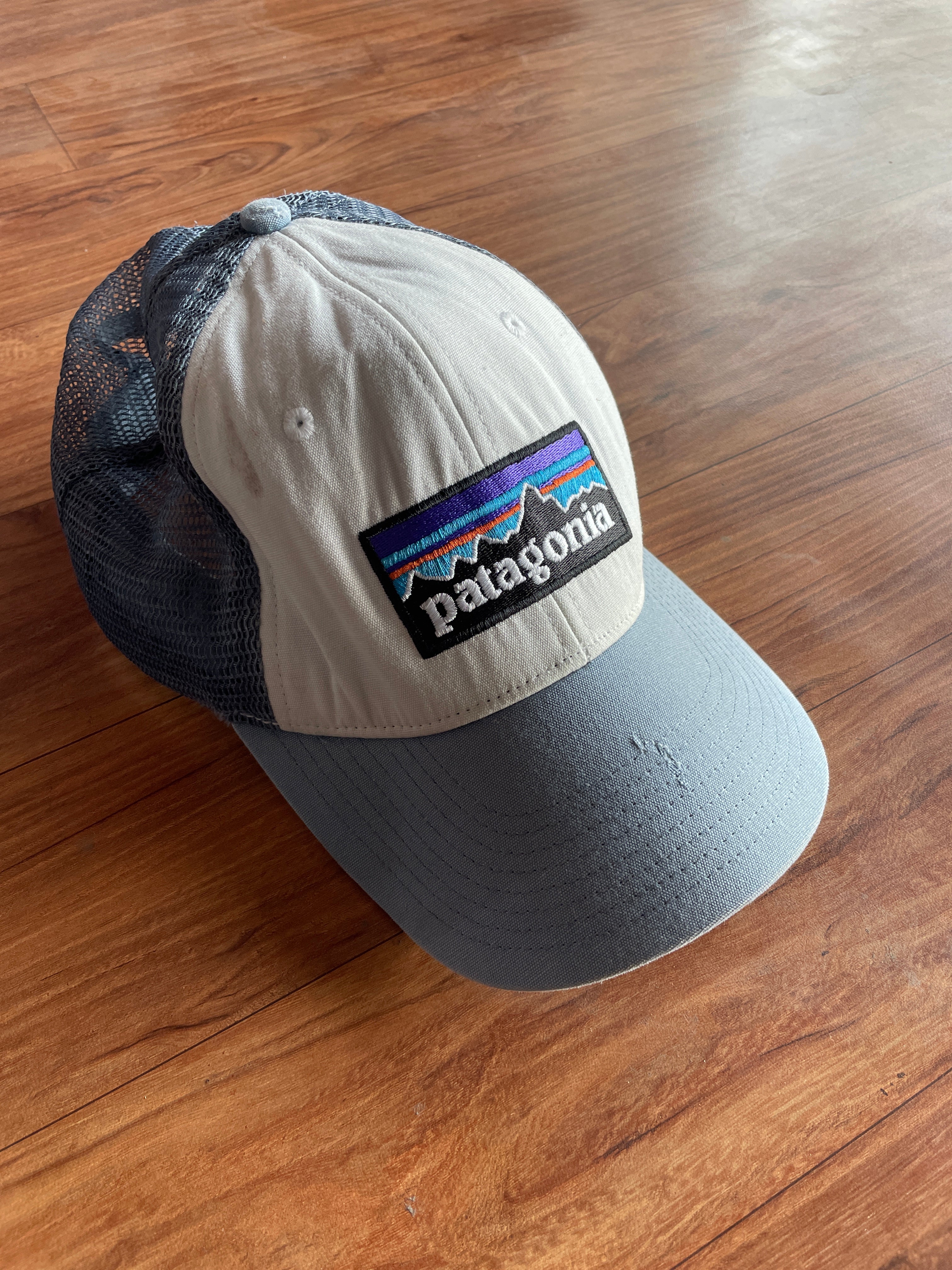 Patagonia cap
