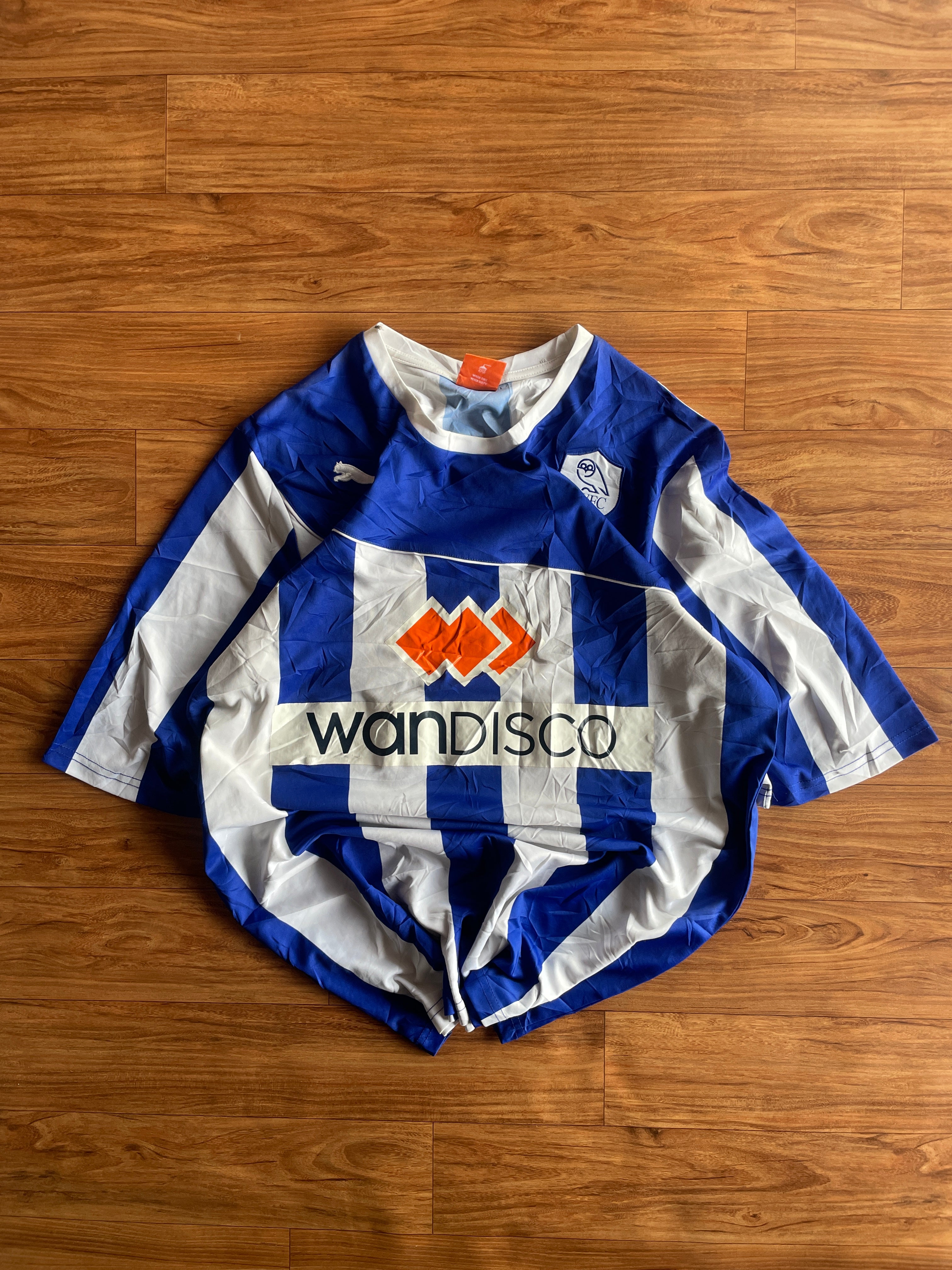 SWFC jersey (C40-42 L28)