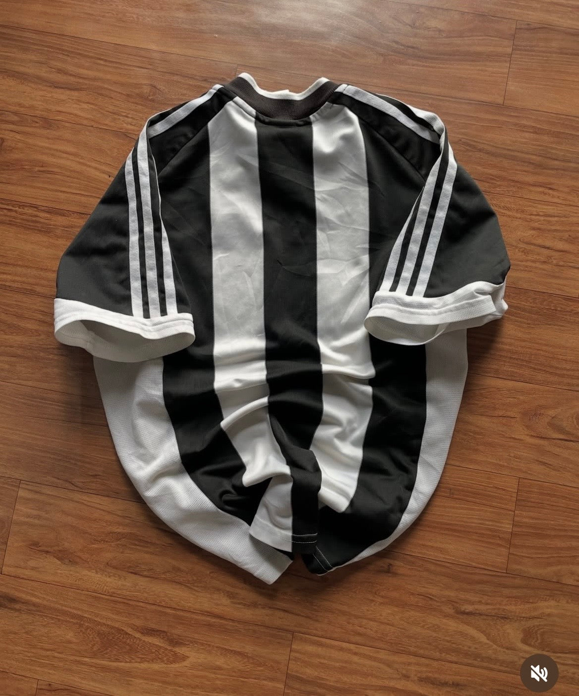 Pack of 12