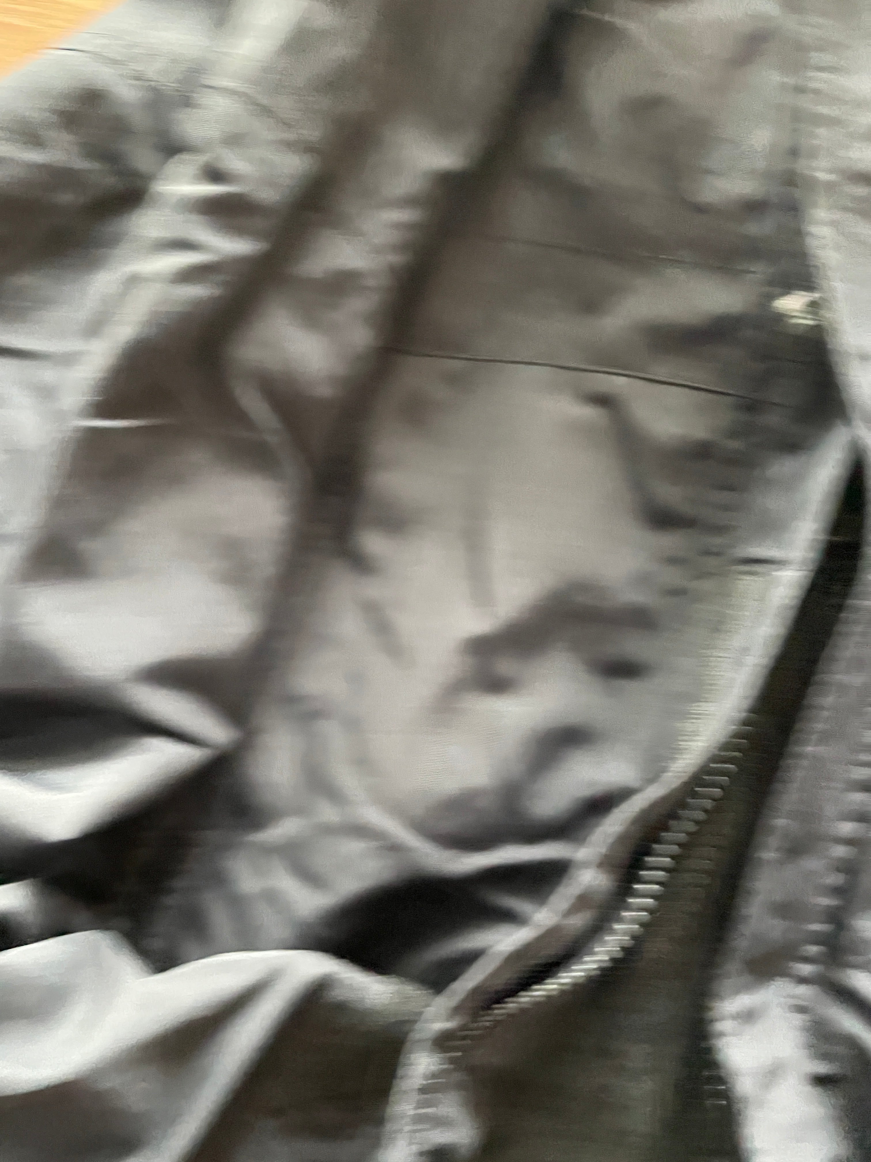 The north face