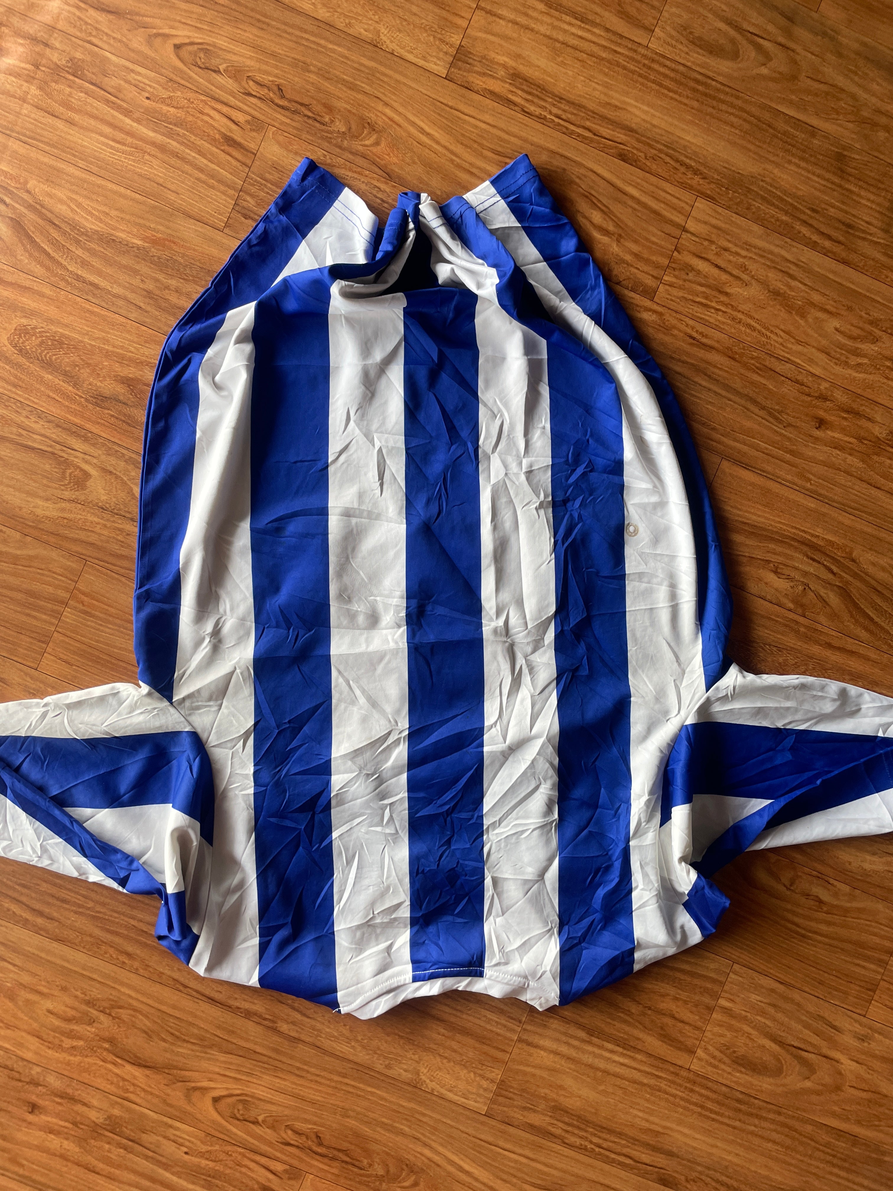 SWFC jersey (C40-42 L28)
