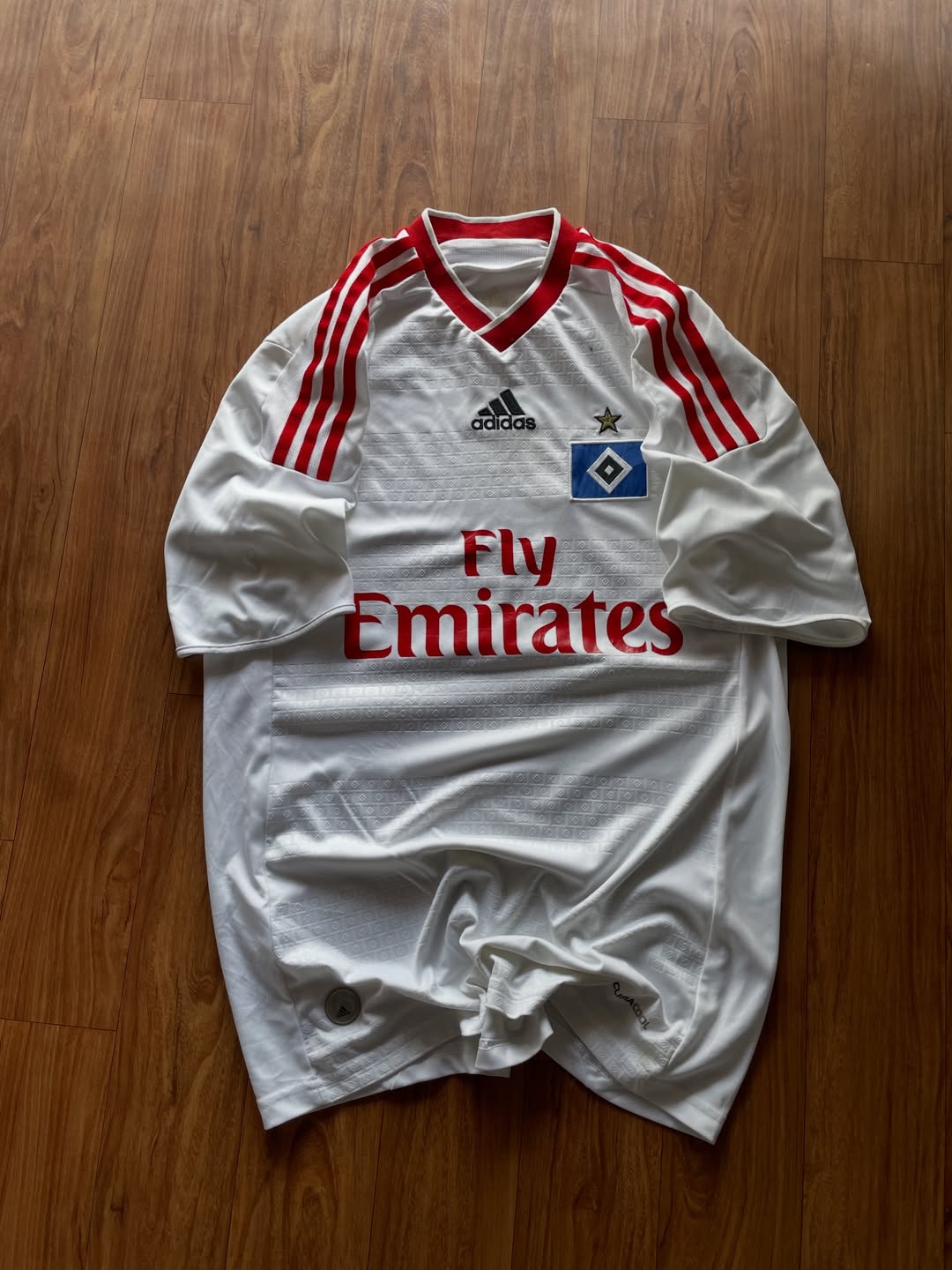 Hamburger SV 2009-10