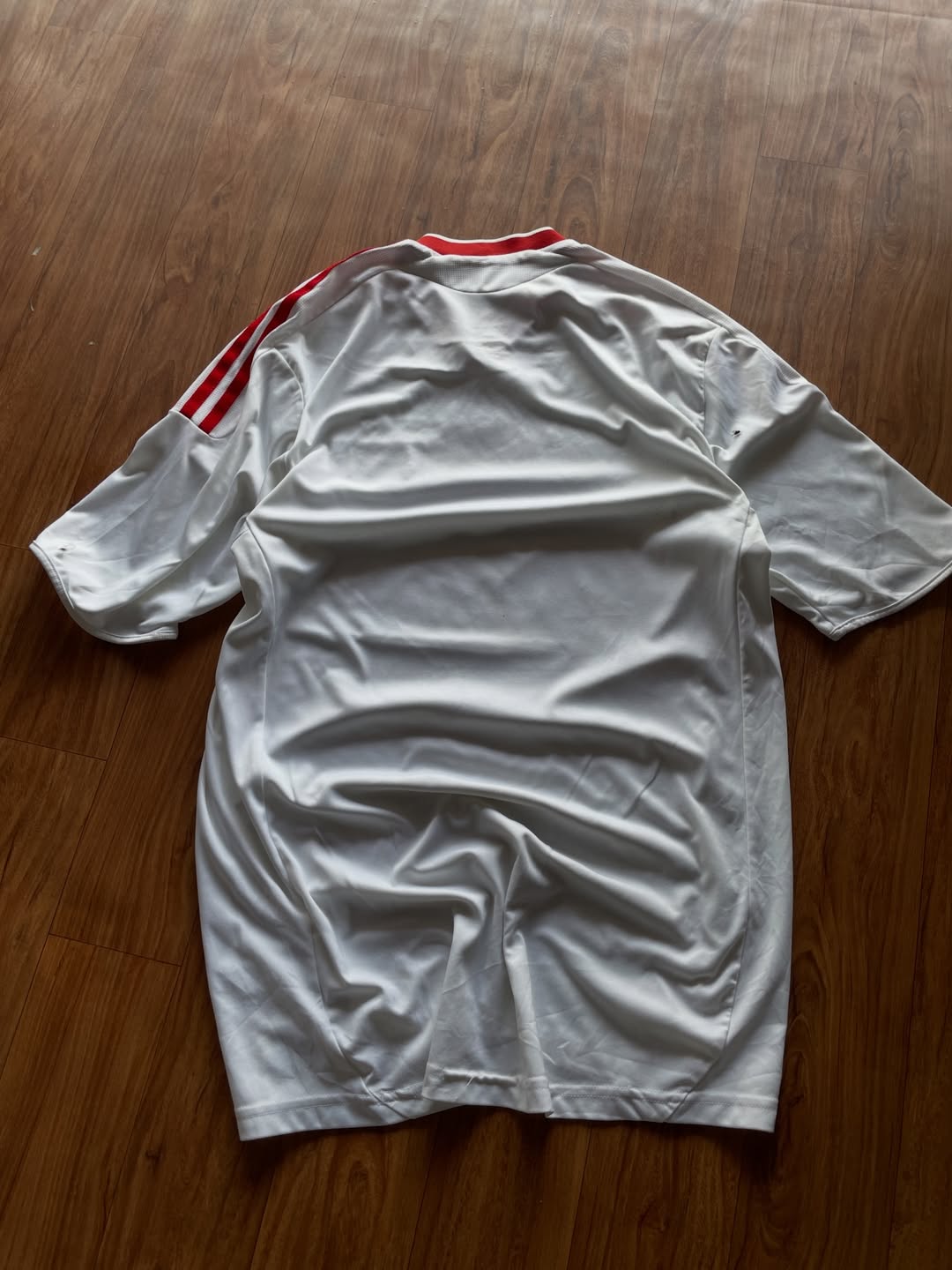 Hamburger SV 2009-10