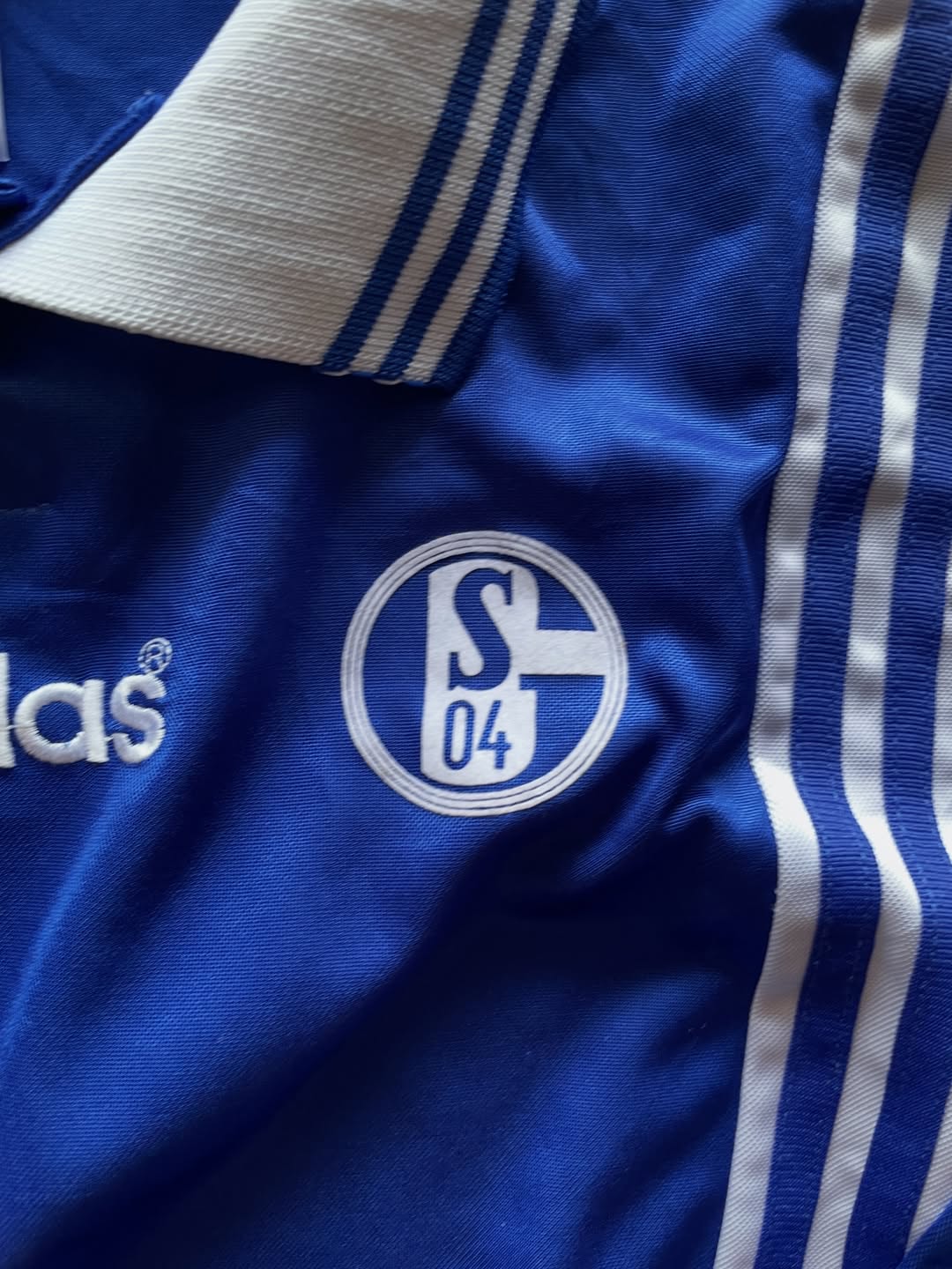 FC Schalke04 1998/1999