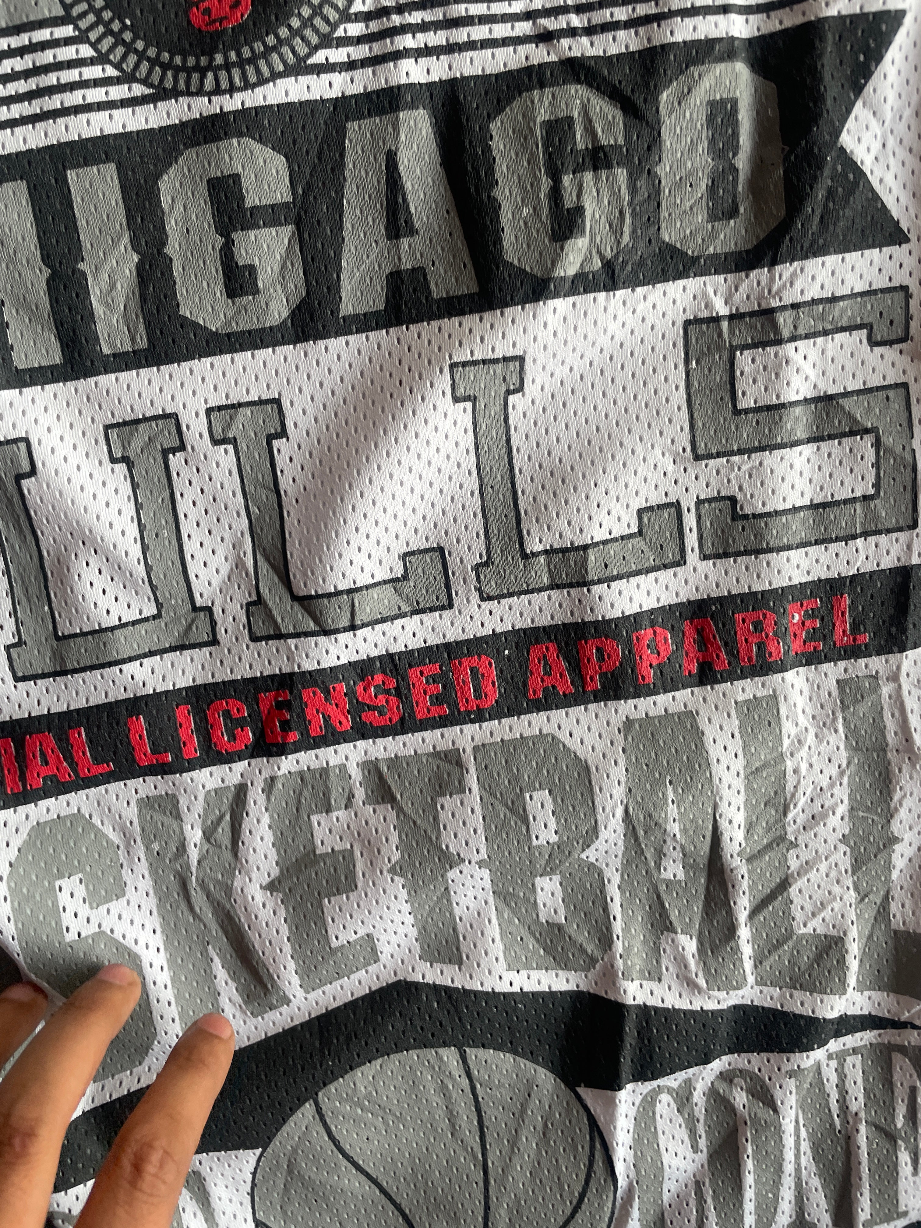 Chicago bulls