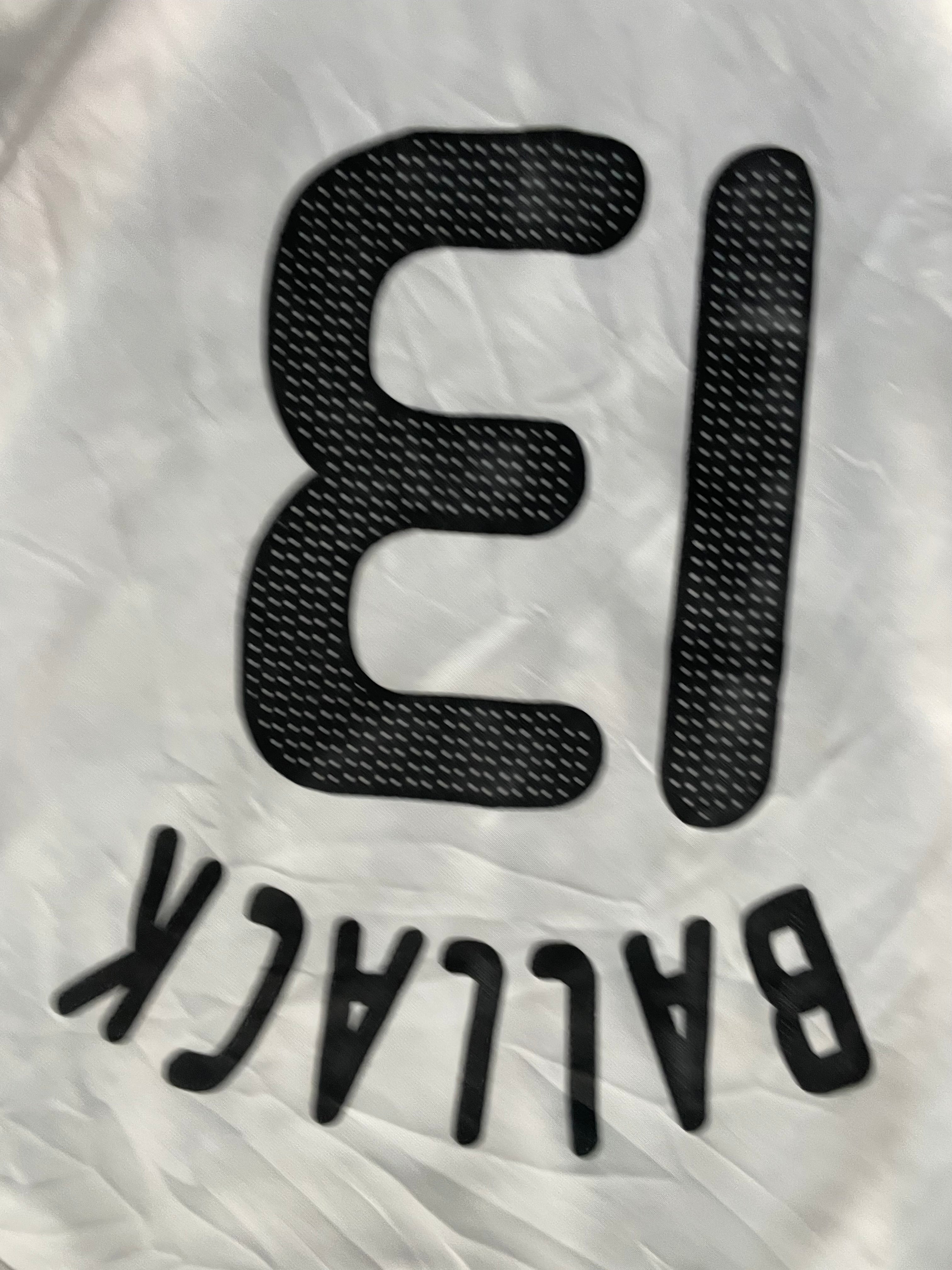 Germany # 13 ballack