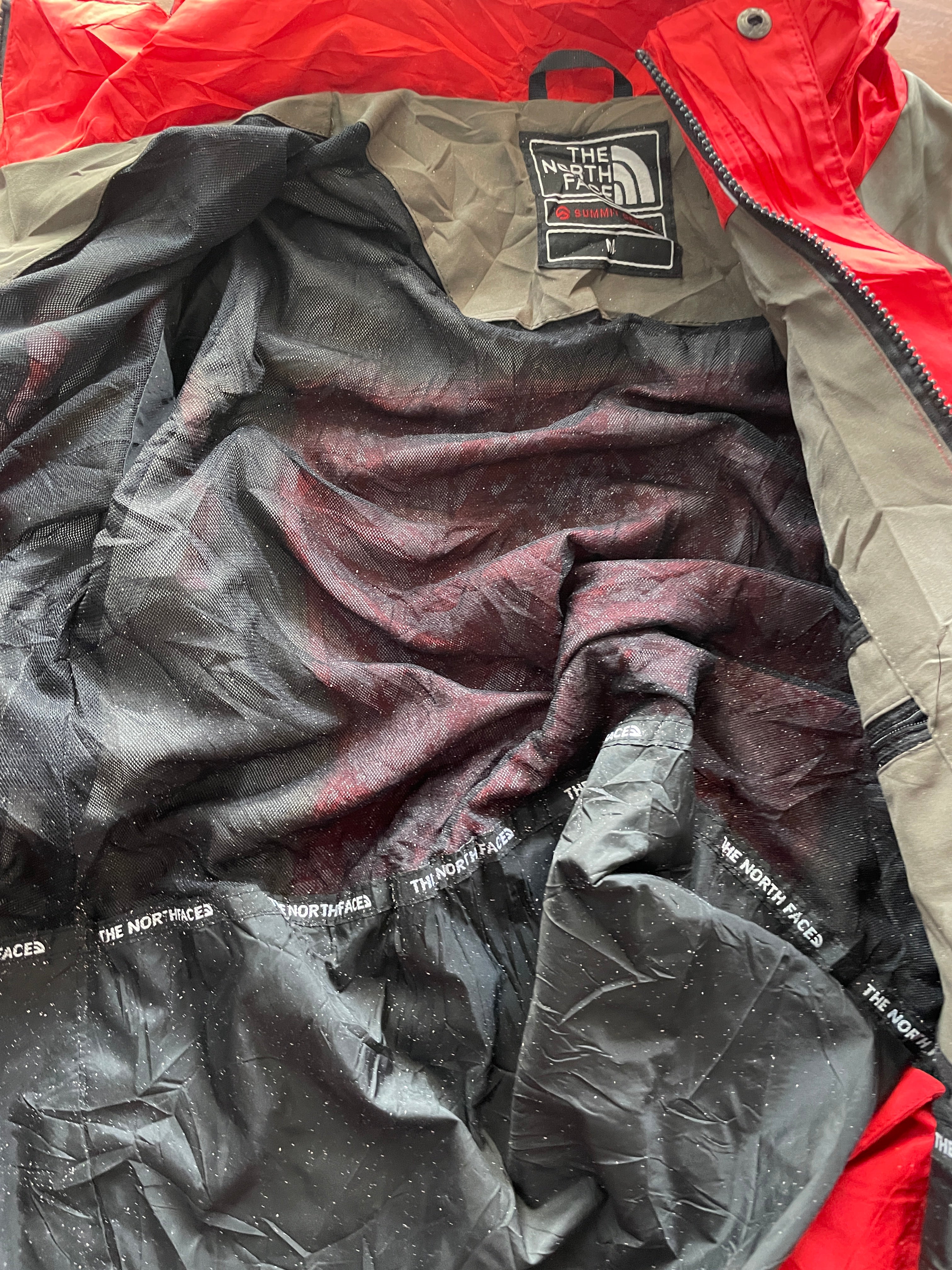 The north face (summit series it has stain )