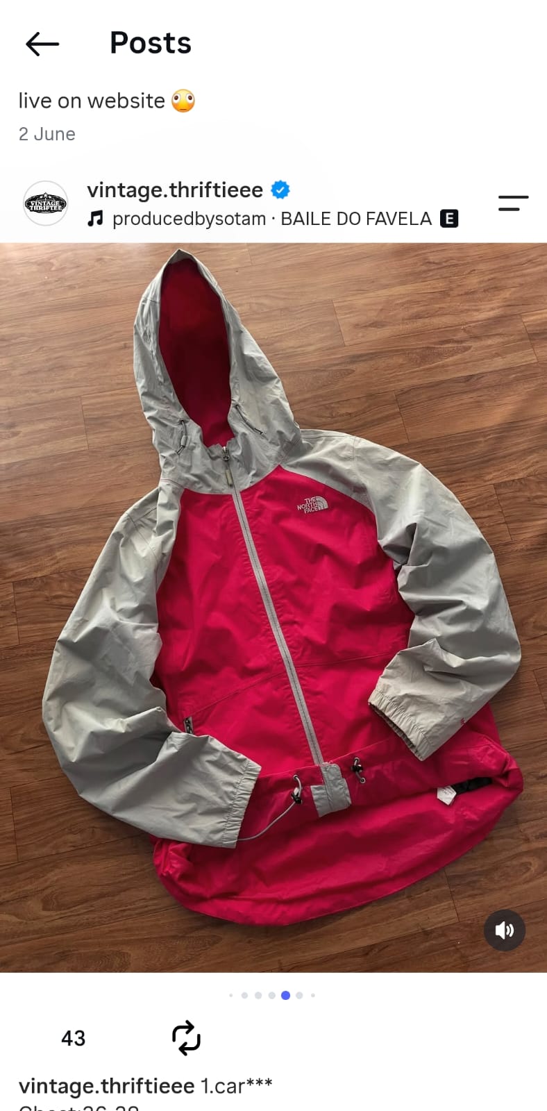 Pink north face